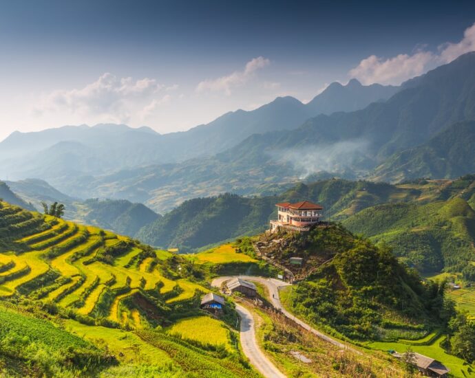 Vietnam rice fields